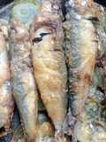 Sardinas al horno