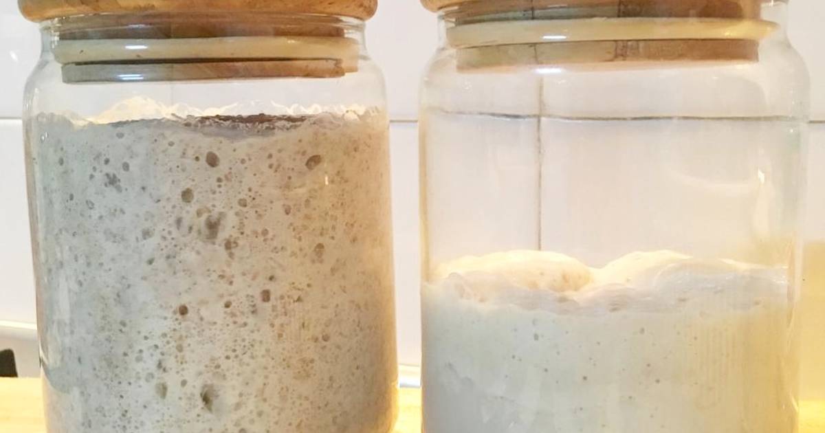 8 Bahan Kaya Probiotik Untuk Kesihatan Optimum