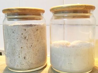 SourDough Starter