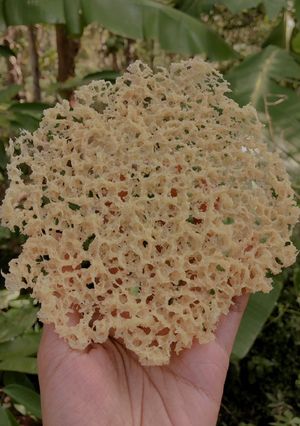 Foto resep Kremesan