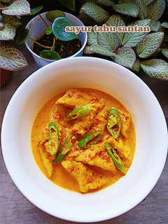 Foto resep Sayur Tahu Santan ala warteg