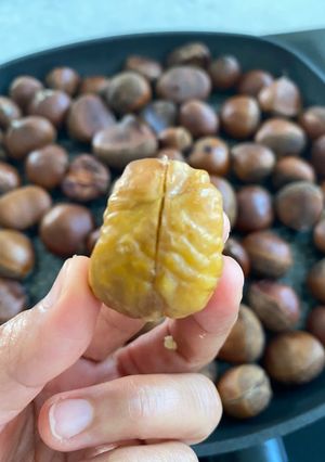 A picture of Perfect Roasted Chestnut 🌰.