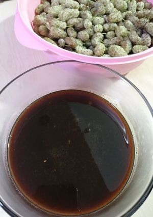 عکسی از دستور شیره توت