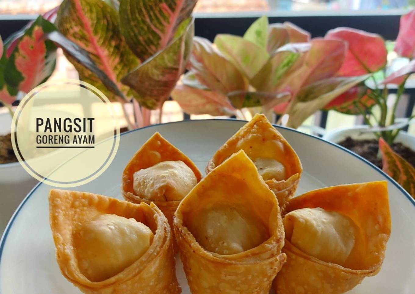 Pangsit Goreng Ayam