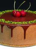 Tarta de chocolate y café, sin horno