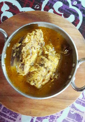 Foto resep Chicken yogurt curry