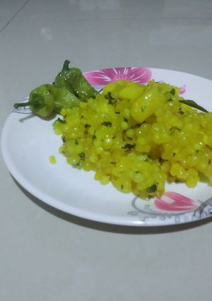 સાબુદાણાની ખીચડી(Sabudana Khichdi Recipe in Gujarati) રેસીપી મુખ્ય ફોટો