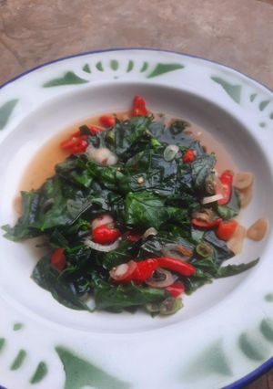 Foto resep Tumis Pedas Daun Katuk