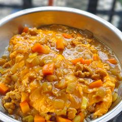 A picture of Spicy Chicken Japanese Curry.