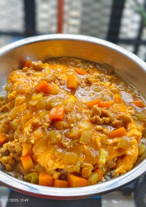 A picture of Spicy Chicken Japanese Curry.