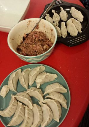 A picture of Asian Dumplings (General).