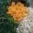 61. Urap Sayuran
