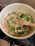Arroz chino con pollo teriyaki