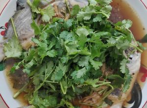 Foto resep Ikan Tim Bawal Putih (steam ikan ala hongkong)