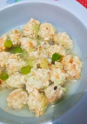 Foto resep [MPASI 9M] Sup Bakso Ayam Campur
