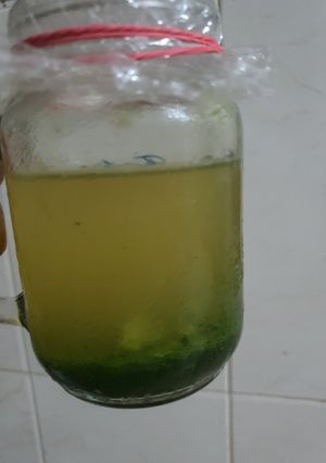 Foto resep Endapan pandan