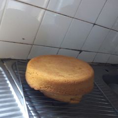 A picture of Plain cake.