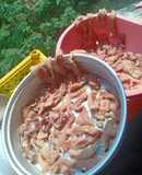 หมูกระเทียมแดดเดียว