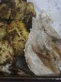 Pechugas con coliflor