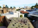 Brownie de limón🍋 (Sin manteca!!!!)