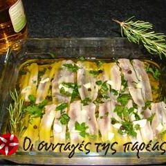 Maria's marinated gavros A picture of Maria's marinated gavros.