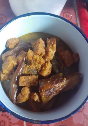 Foto resep Tempe Terong Bumbu Kunyit