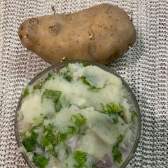 A picture of Aloo pitika.