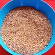 Sesame Seeds Mouth Freshener/ Til Mukhvas