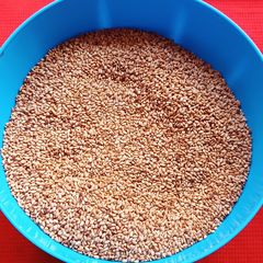 A picture of Sesame Seeds Mouth Freshener/ Til Mukhvas.