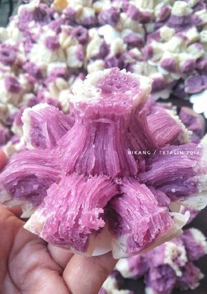Foto resep Cara Bikang Ekonomis