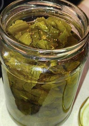 Φωτογραφία της συνταγής Λικέρ δυόσμου