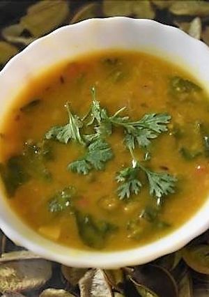 A picture of Palak Dal (Spinach Lentil).