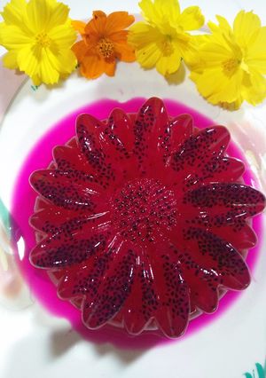 Foto resep Puding Buah Naga Super Praktis & Ekonomis