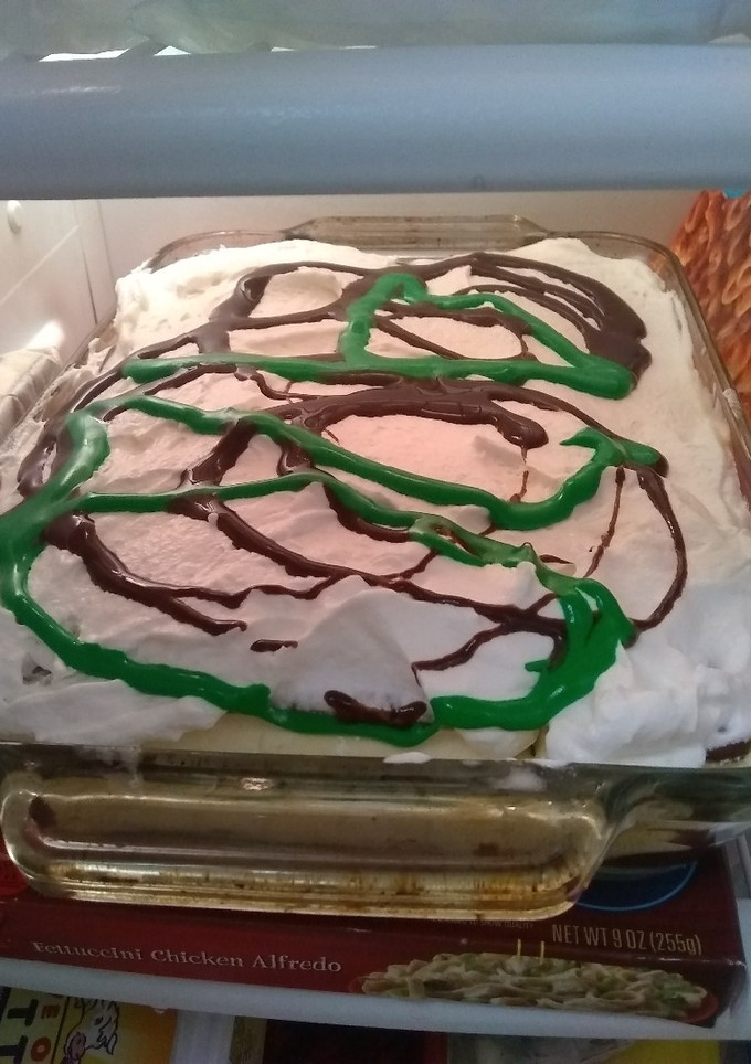 A picture of Ice cream cake.