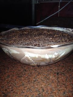 صورة لوصفة تيراميسو