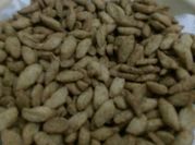 Gambar biji ketapang 1 kg kelapa sangrai