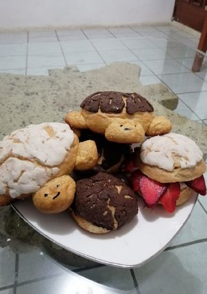 Una foto de Conchas