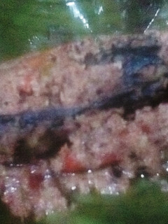 Foto resep Bothok lele bumbu kluwek