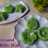Puding Lumut Tape Ketan Hijau