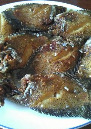 Foto resep Ikan kapar goreng