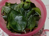 Tips Menyimpan Daun Jeruk