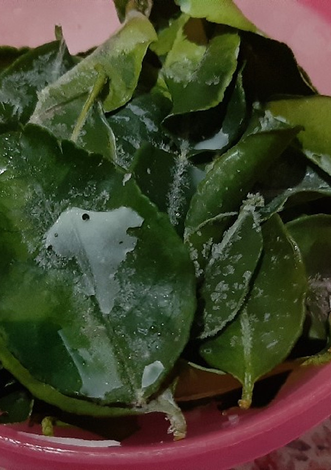 Foto resep Tips Menyimpan Daun Jeruk