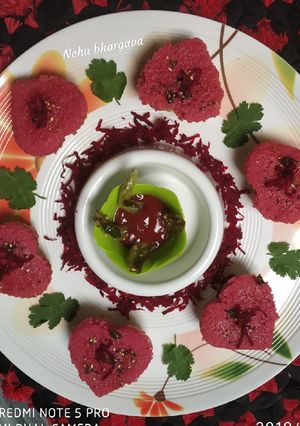 A picture of Oats semolina dhokla.