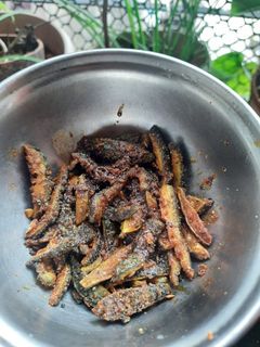 कारल्याची भाजी (karle Bhaji Recipe In Marathi) रेसिपी चे मुख्य फोटो