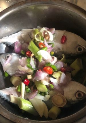 Foto resep Steam ikan kembung