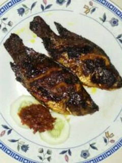 Foto resep Ikan Bakar Sambal Terasi