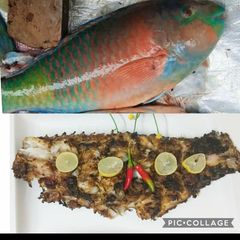A picture of Grilled parrot 🐠 🐠 fish.