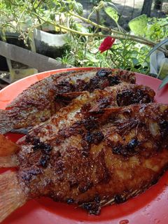 Foto resep Nila bakar teflon