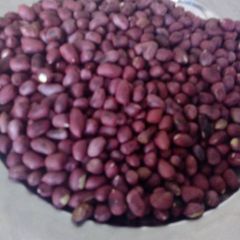 Roasted groundnuts A picture of Roasted groundnuts.