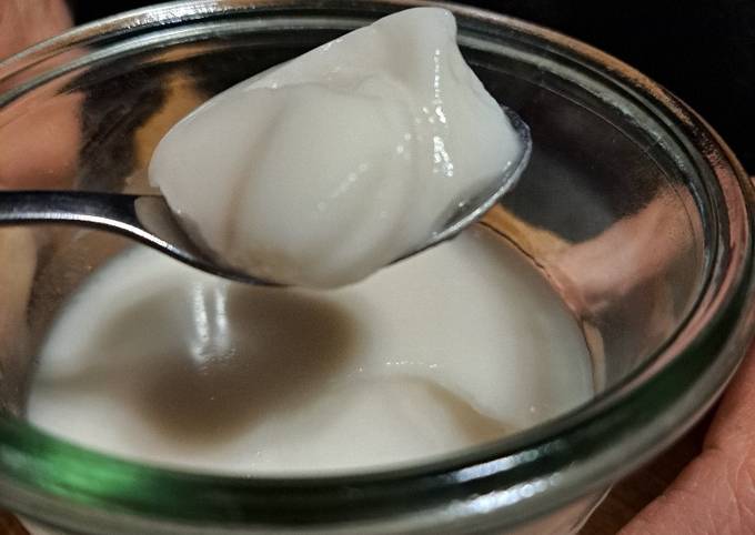 Yaourt lait de coco de melodie Jelu - Cookpad